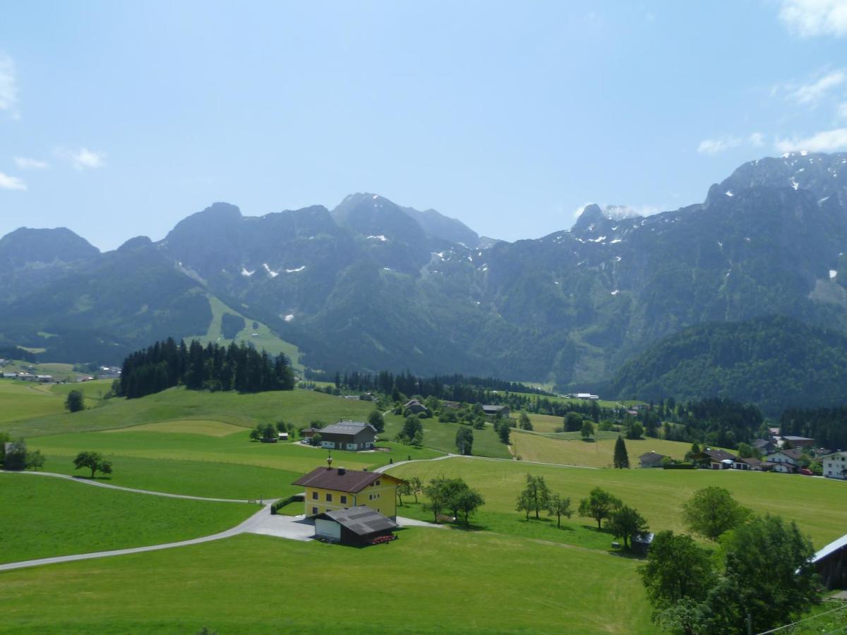 Apartement Obweghof Abtenau, Salzburger Land Luaran gambar